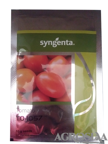 syngenta to 1057 f1 hybrid tomato seed - 10 gm