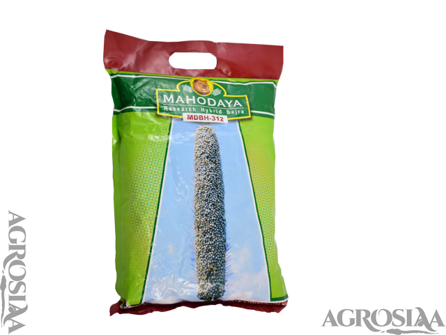 mahodaya mdbh-312 research hybrid bajara - 1.5 kg