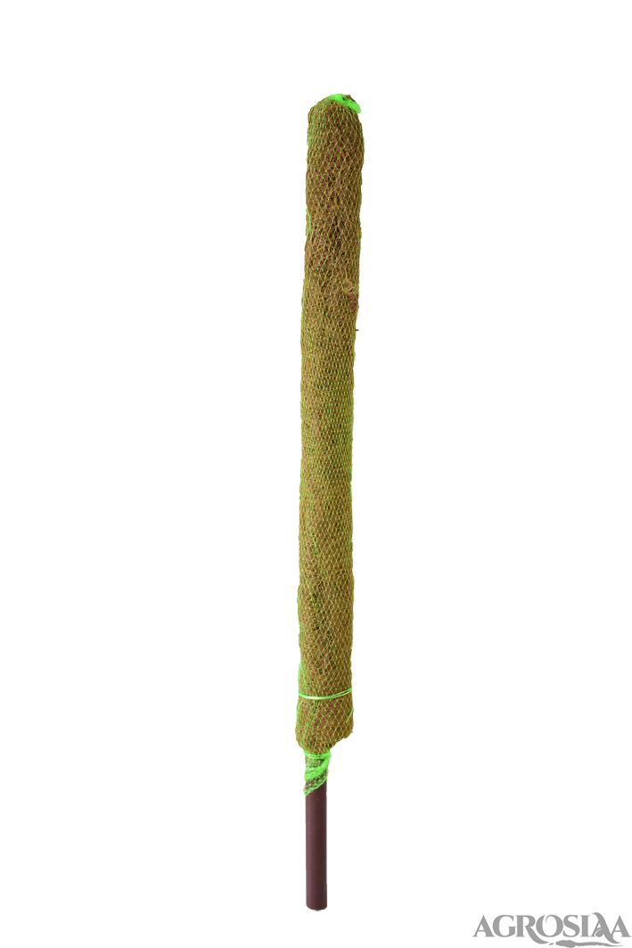 Moss Stick 4 Ft