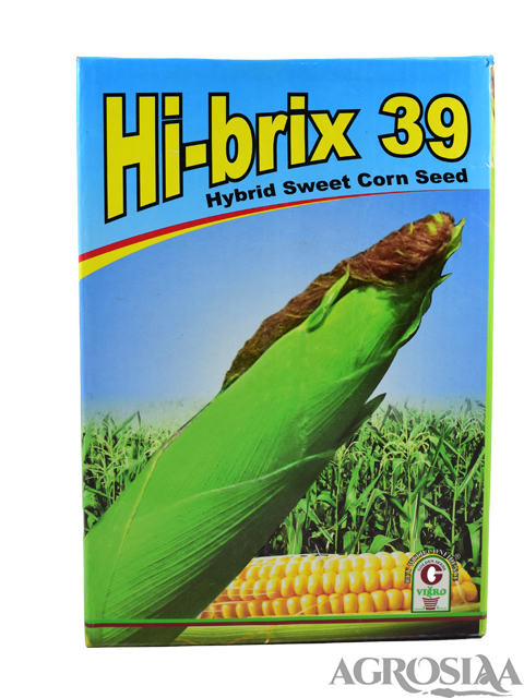 golden hi brix 39 hybrid sweet corn seed - 1 kg