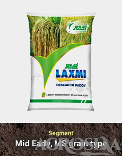 rasi laxmi research paddy seed - 10 kg