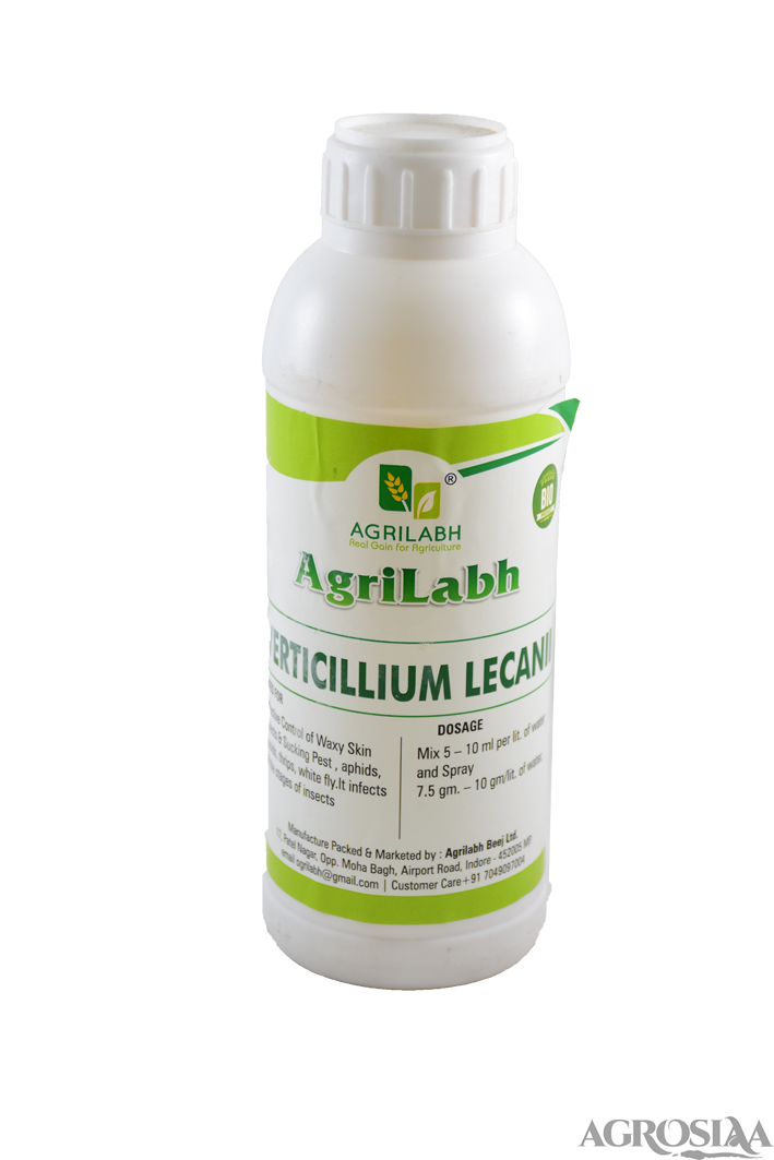 agrilabh verticillium lecanii organic pesticide - 100 ml
