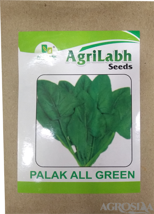 agrilabh palak all green spinach seed - 1 kg