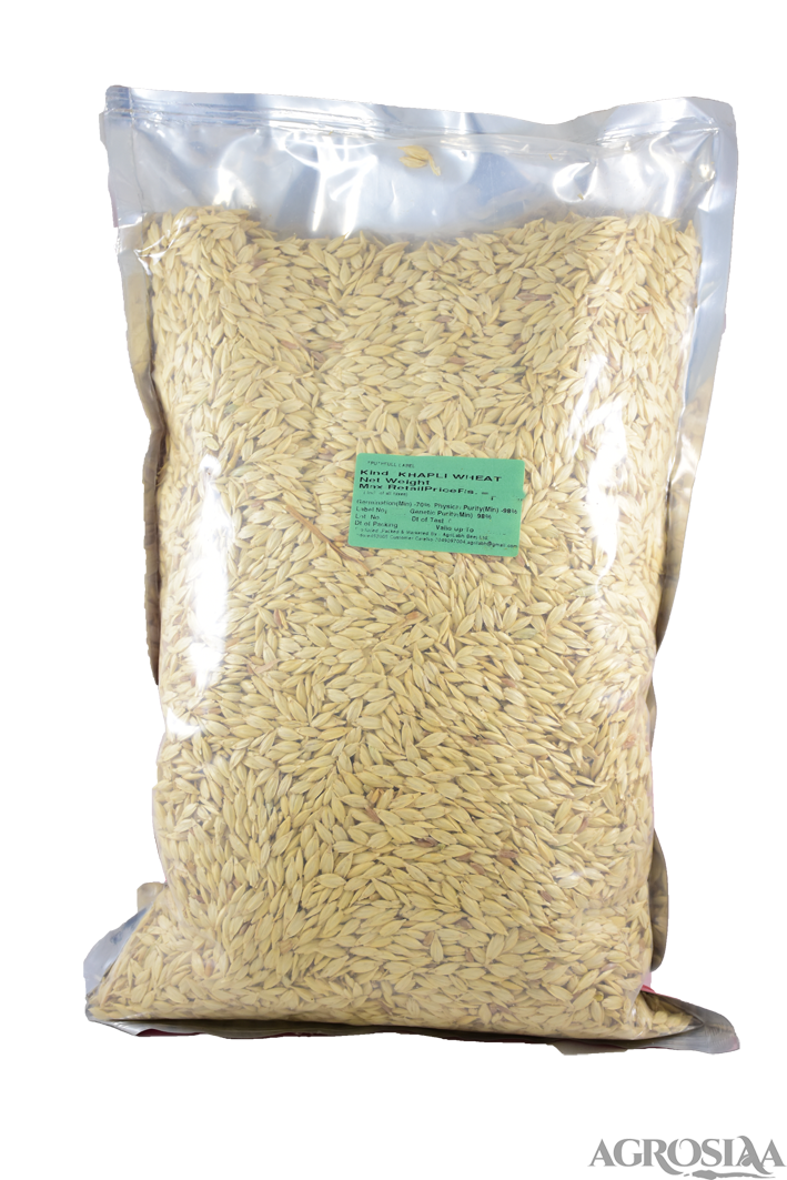 agrilabh khapli wheat seed - 1 kg