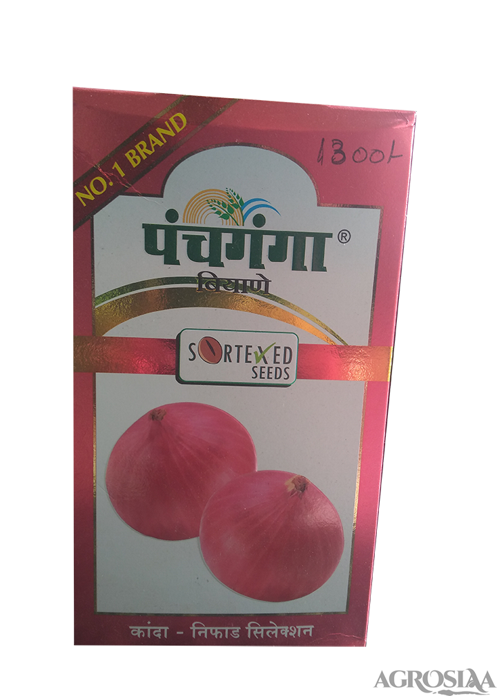 panchaganga nifad selection onion seed - 500 gm