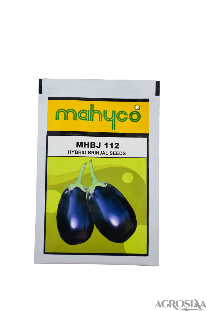 mahyco mhbj 112 hybrid brinjal seed - 10 gm