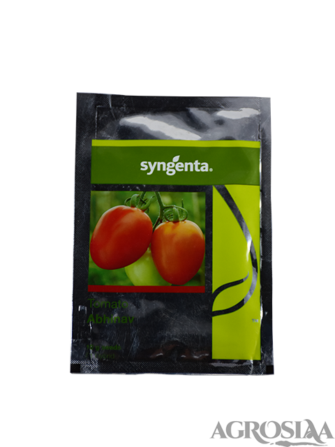 syngenta abhinav hybrid tomato seed - 10 gm