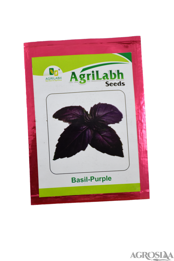 Agrilabh Purple Basil Seed 0.3 Gm