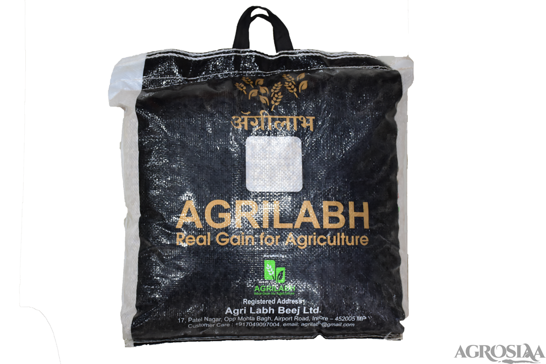 agrilabh pkv-2 gram seed - 15 kg