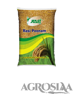 rasi poonam paddy seed - 10 kg