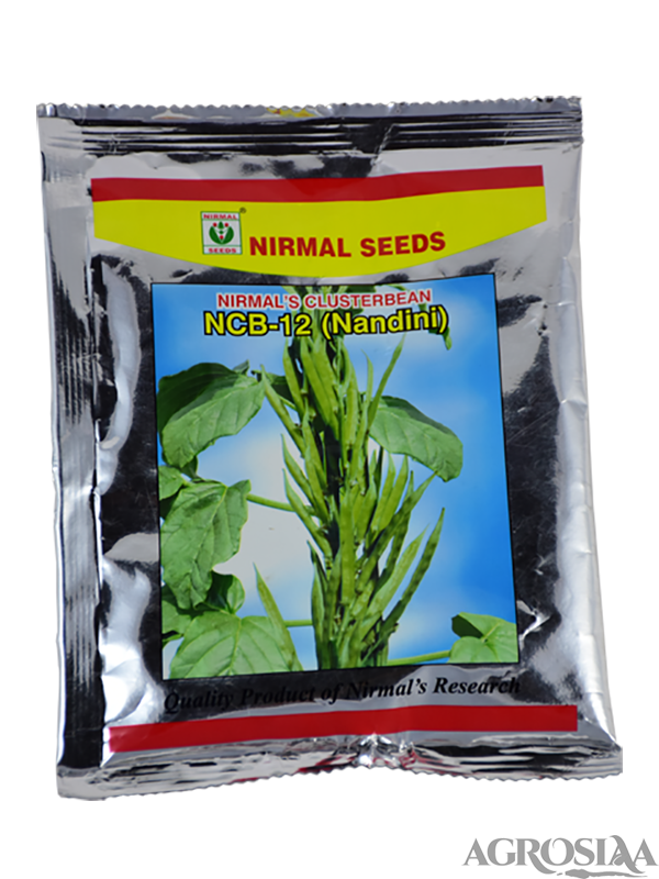 nirmal seeds cluster bean ncb 12 (nandini) - 100 gm