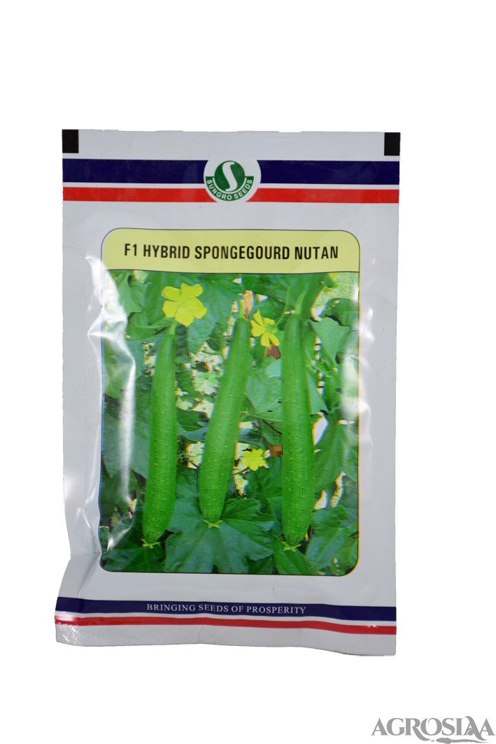 Sungro Nutan F1 Hybrid Sponge Gourd Seed 50 Gm 7847