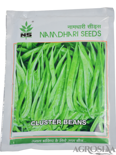 namdhari seeds f1 hybrid ns 661 cluster bean - 100 gm