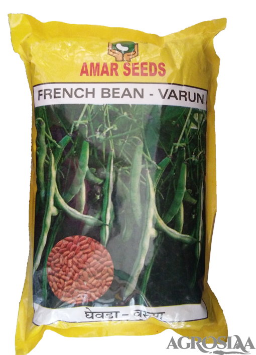 amar seed varun freanch bean - 5 kg