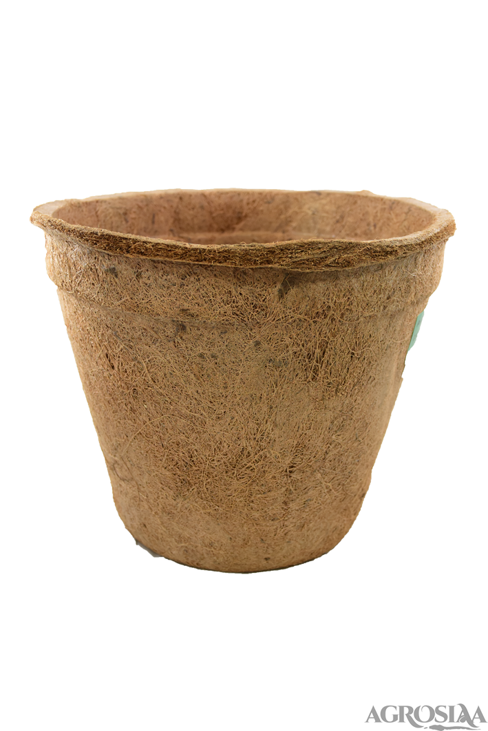 agrilabh coco pot 12"