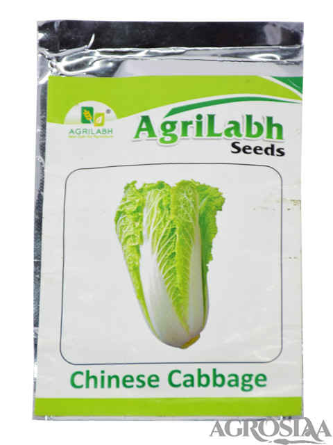 /uploads/userdata/seller/b1d5781111d84f7b3fe45a0852e59758cd7a87e5/product_images/chinese_cabbage_agrilabh_seeds_1.png