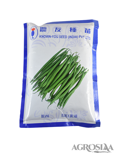 known you early bush cluster bean seed - 500 gm