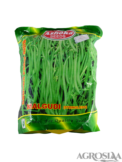 ashoka malgudi (stringless) cluster bean seed - 1 kg