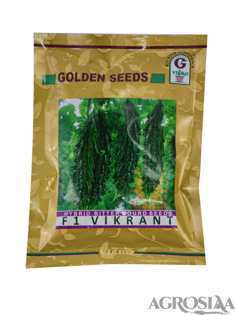 /uploads/userdata/seller/b1d5781111d84f7b3fe45a0852e59758cd7a87e5/product_images/f1hybrid_bitter_guard_vikrant_golden_seeds_1.png