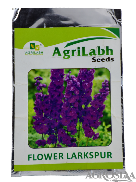 agrilabh flower larkspur seed - 0.5 gm