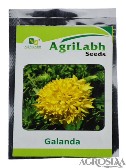 Agrilabh Galanda Seed 0 5 Gm