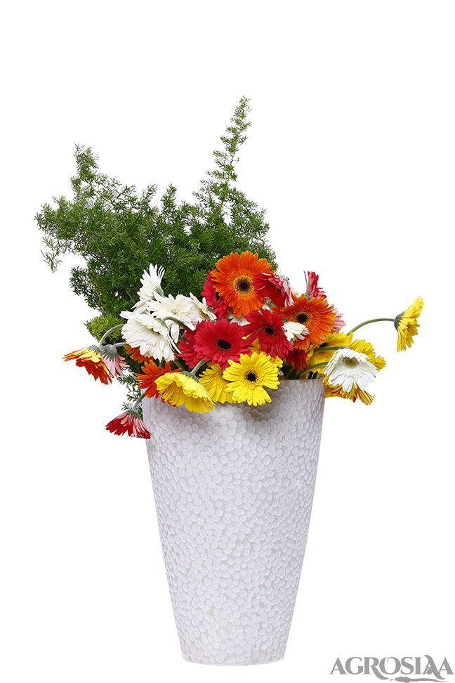 garden planter designer oval white stone