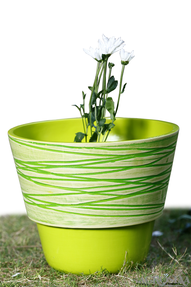garden planter lime