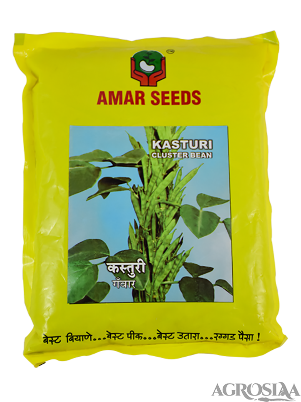 amar kasturi cluster bean seed - 500 gm