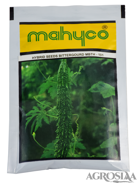 mahyco mbth-101 hybrid bitter gourd seed - 50 gm