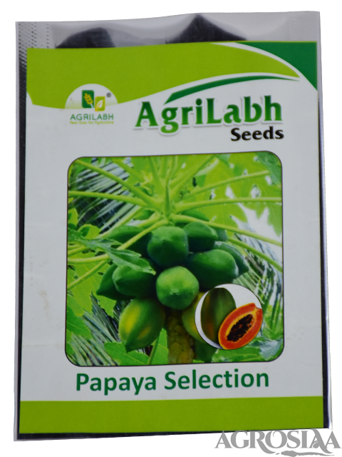 /uploads/userdata/seller/b1d5781111d84f7b3fe45a0852e59758cd7a87e5/product_images/papaya_selection_agrilabh_seeds_1.png