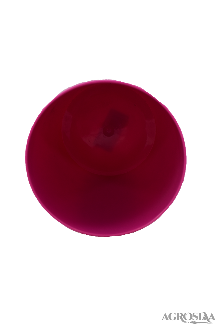 valencia plastic pot 16 x 15 cm pink