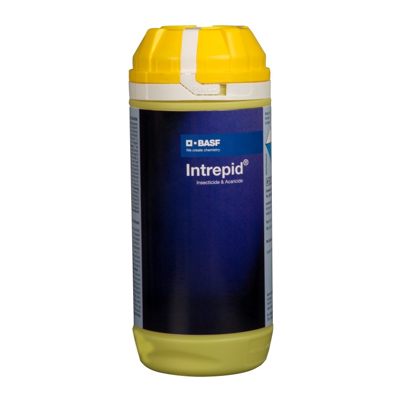 basf intrepid insecticide - 300 ml (chlorfenapyr 10% sc)