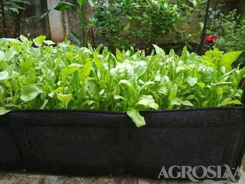fabric grow bag wafa 24" x 12" x 12" - 500 gsm