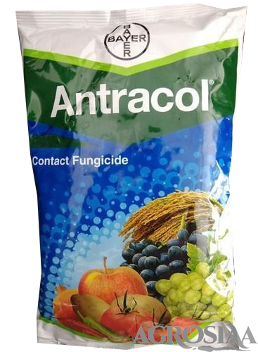 bayer antracol contact fungicide - 500 gm