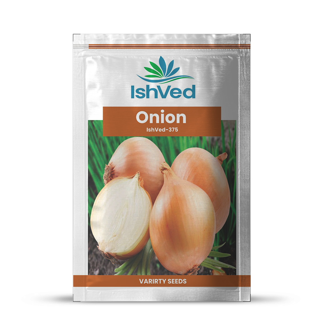 Ishved Ivonl 375 Onion Seeds 1 Kg