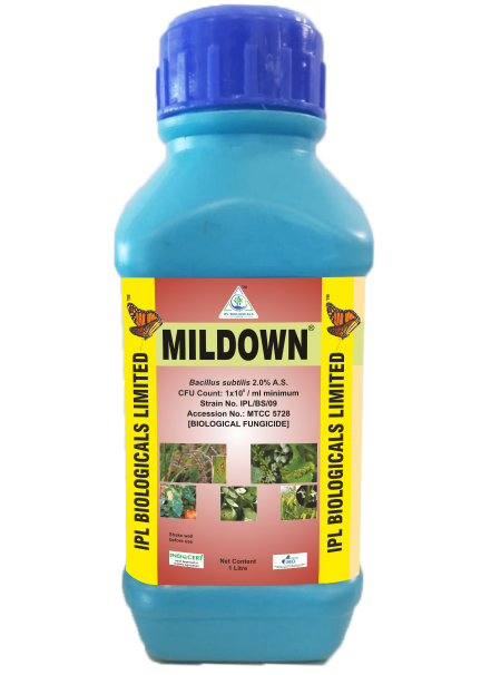 ipl biologicals mildown bio fungicide - 1 lit | bacillus subtilis 2% a.s.