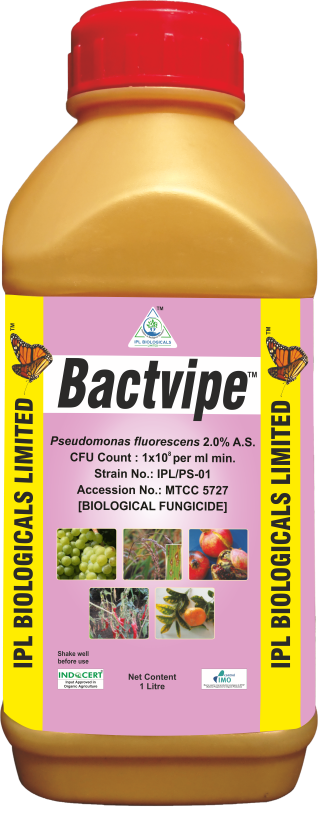 ipl biologicals bactvipe fungicide - 1 lit | psedomonas fluorescens