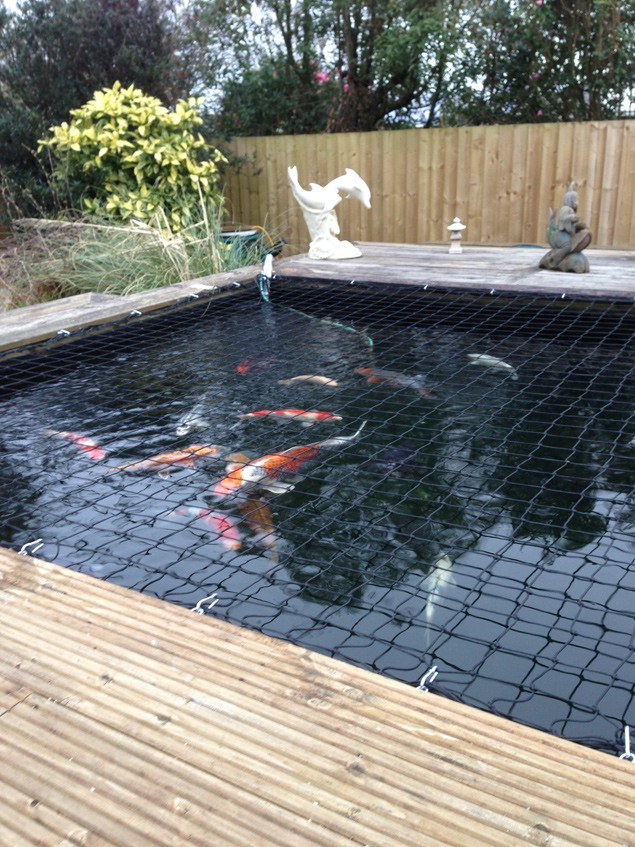garware shettale cover net/pond netting pool protection covers 50mm mesh 10mtr x 30mtr