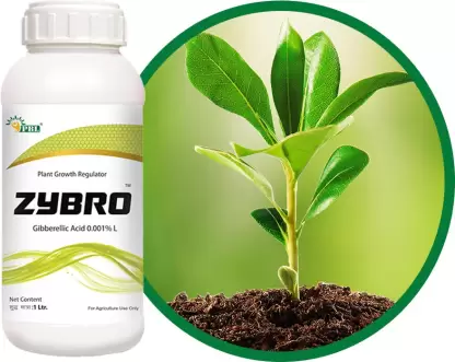 pbl zybro gibberellic acid 0.01% - 1 kg