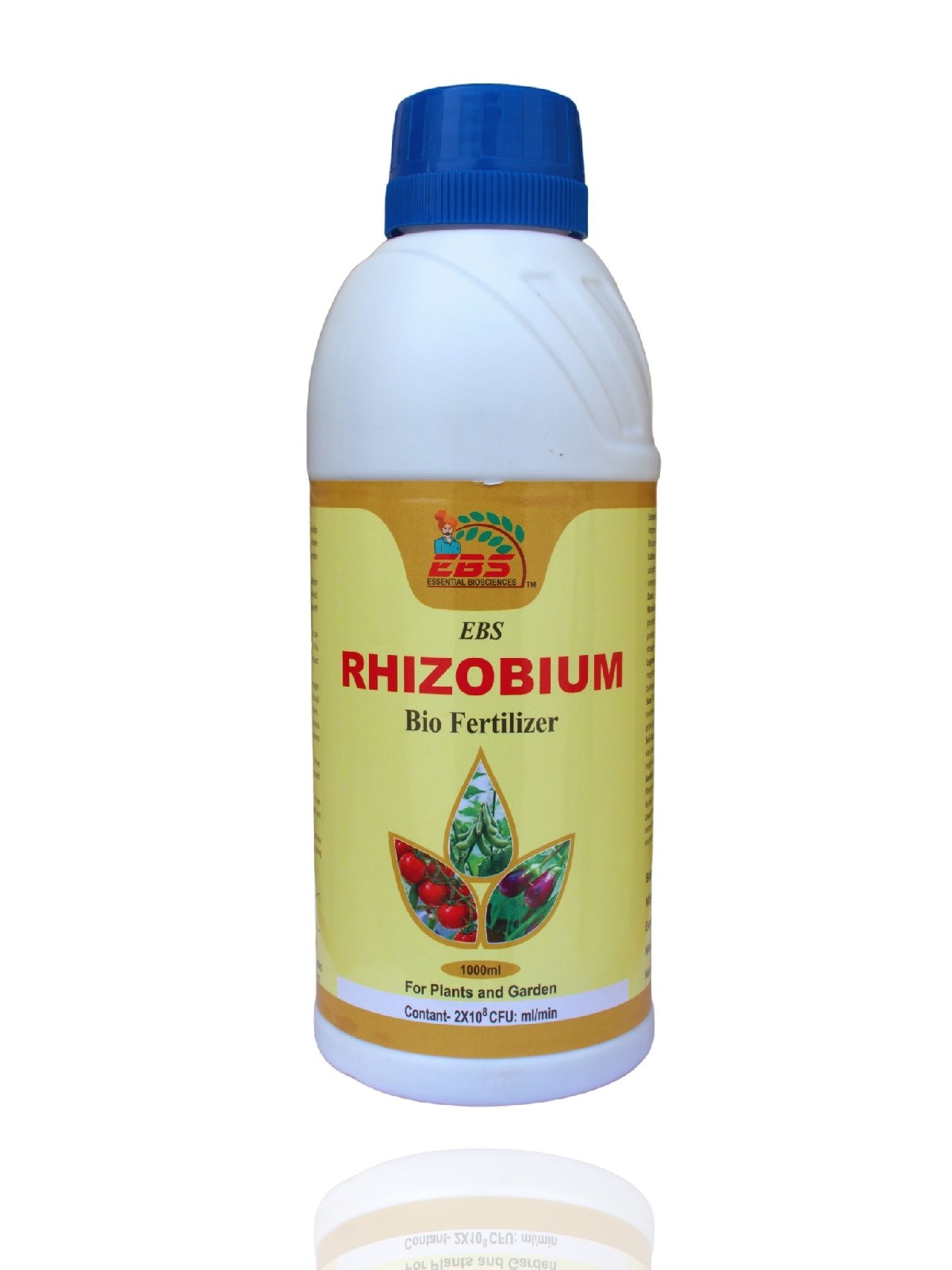 ebs rhizobium spp liquid bio fertilizer - 3 lit | for nitrogen fixation in the soil naturally for better absorption of nitrogen