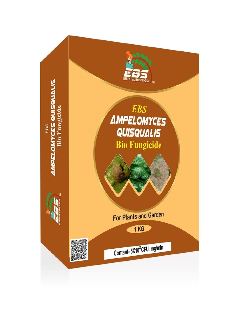 ebs ampelomyces quisqualis powder bio fungicide - 1 kg | use for plants, farm & home garden, nursery