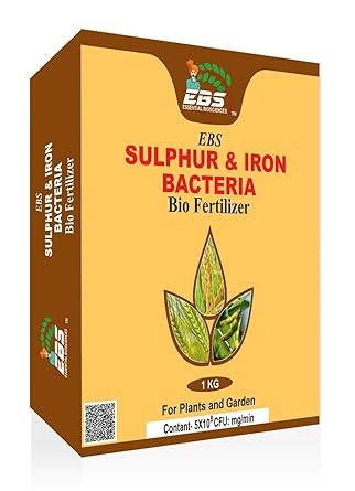 ebs sulphur & iron bacteria powder bio fertilizer - 1 kg | 5x10^8 | use for plants, crops, nursery and home garden)
