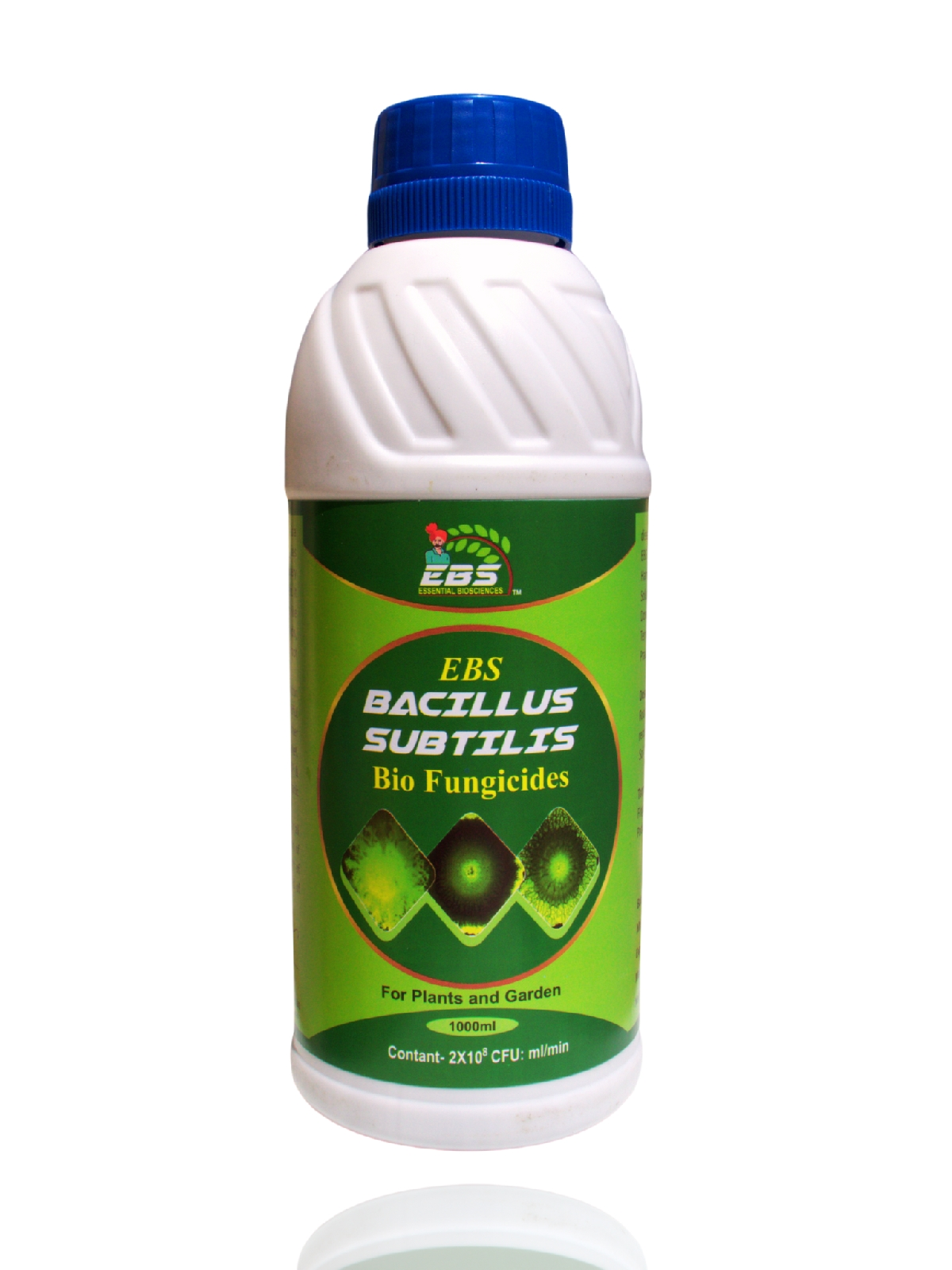 ebs bacillus subtilis bio fungicide liquid - 5 lit | control downy mildew, powdery mildew and bacterial diseases for plants and home garden