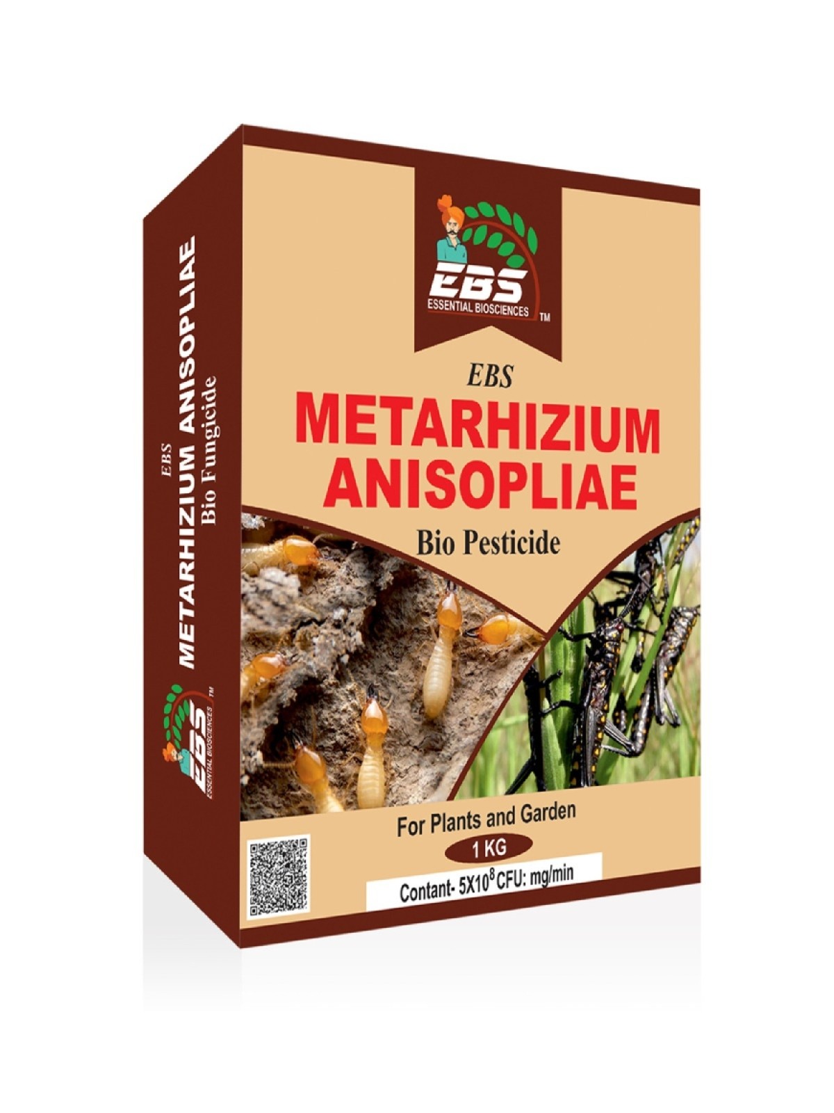 ebs metarhizium anisopliae powder bio pesticide - 2 kg | 5x10^8 | control root weevils, plant hoppers | japanese beetle, black vine weevil on all type of crops