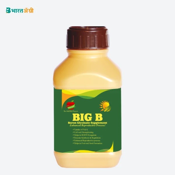 sunrasiya big b micro nutrient - 250 ml | boron 5%
